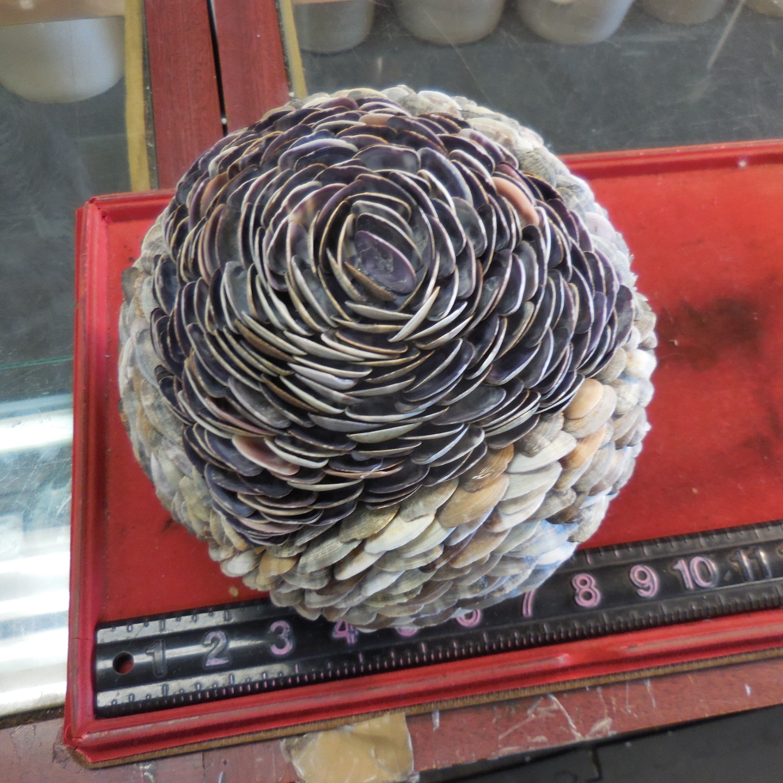Seashell Orb Sphere Ball 7-inch" Beach Nautical Decor "