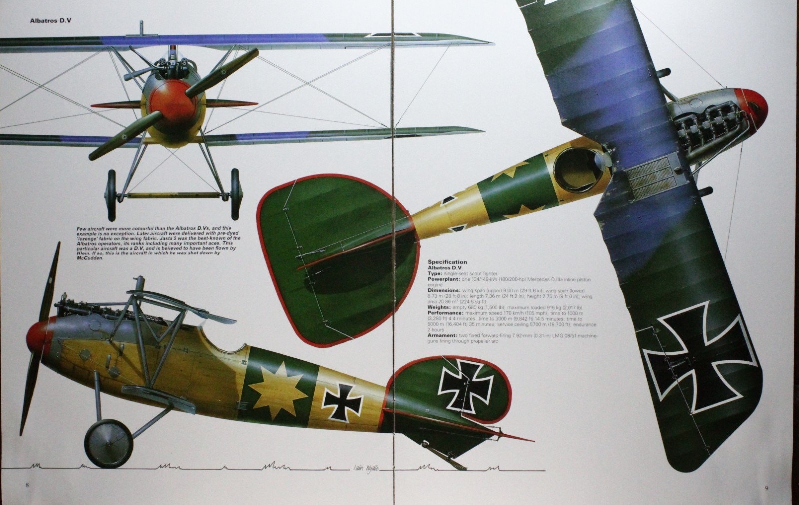 Albatross Plane Picture Article Vtg Wall Art Aircraft Spec Sheet Display