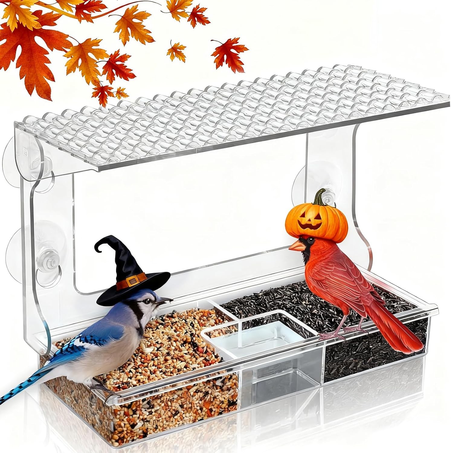 Window Bird Feeder for Outdoors with Strong Suction Cups, Acrylic Clear