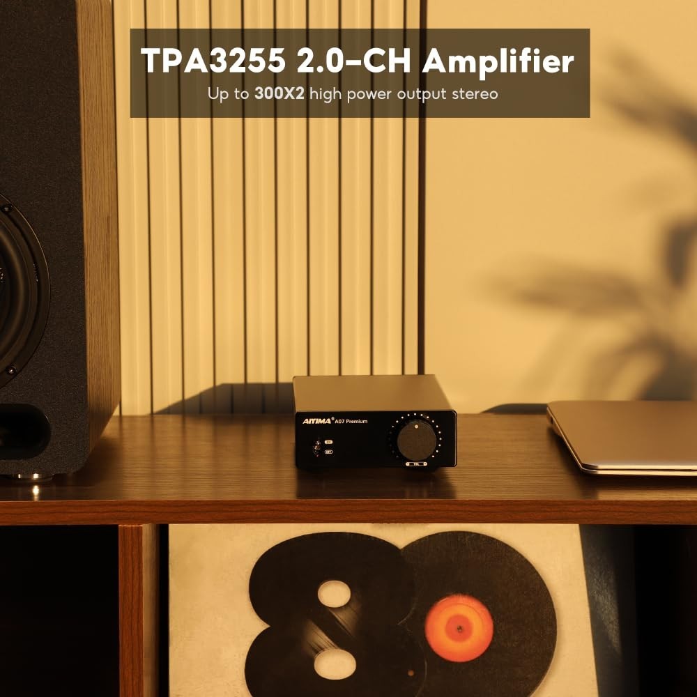HiFi Class D Amp 300Wx2 Stereo Amplifier with Pre-Out