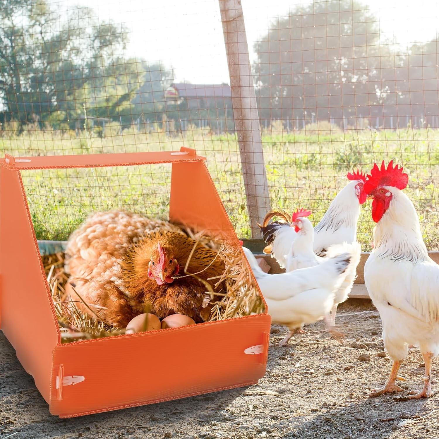 Durable 3 Pack Chicken Nesting Boxes for Hens Ducks and Poultry Laying Egg Box