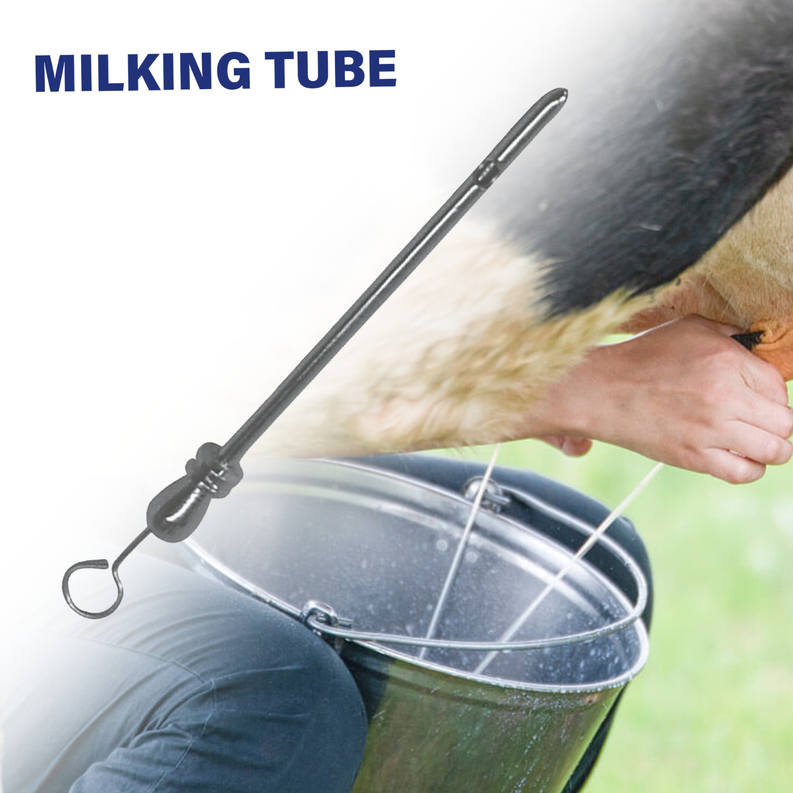 Teat Instruments for Dairy Cows Enhances Milk Flow Milking Tube S.S 4.25"