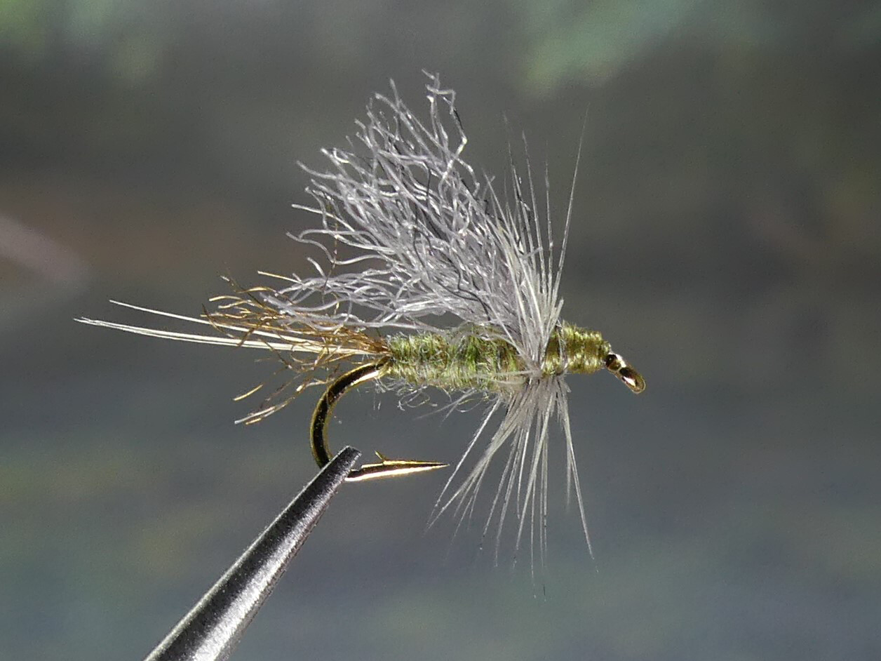 6 Flies - Blue Winged Olive Soft-Hackled Dry Fly