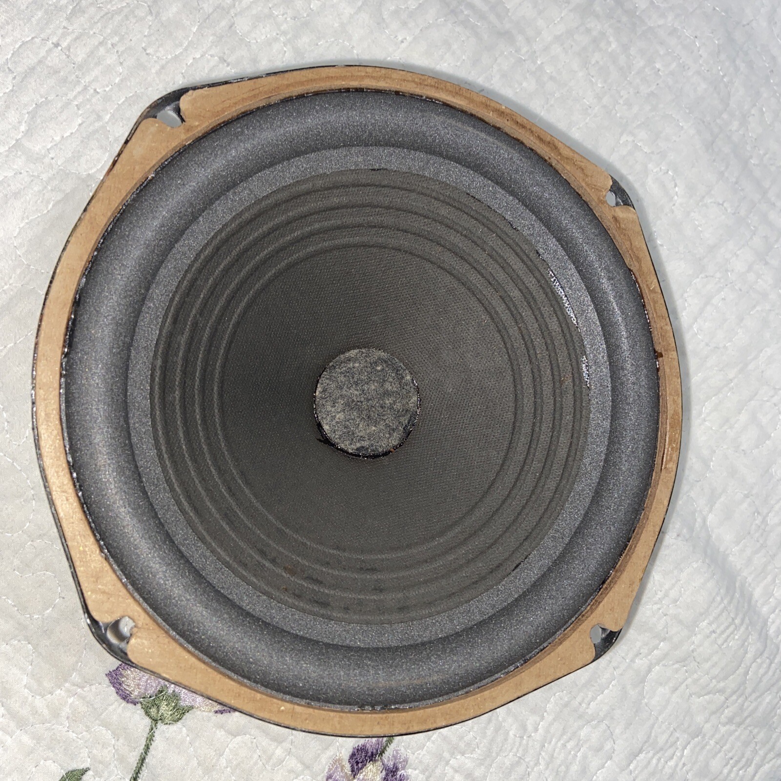 1 ) Jensen P8RS Alinico 8" Woofer