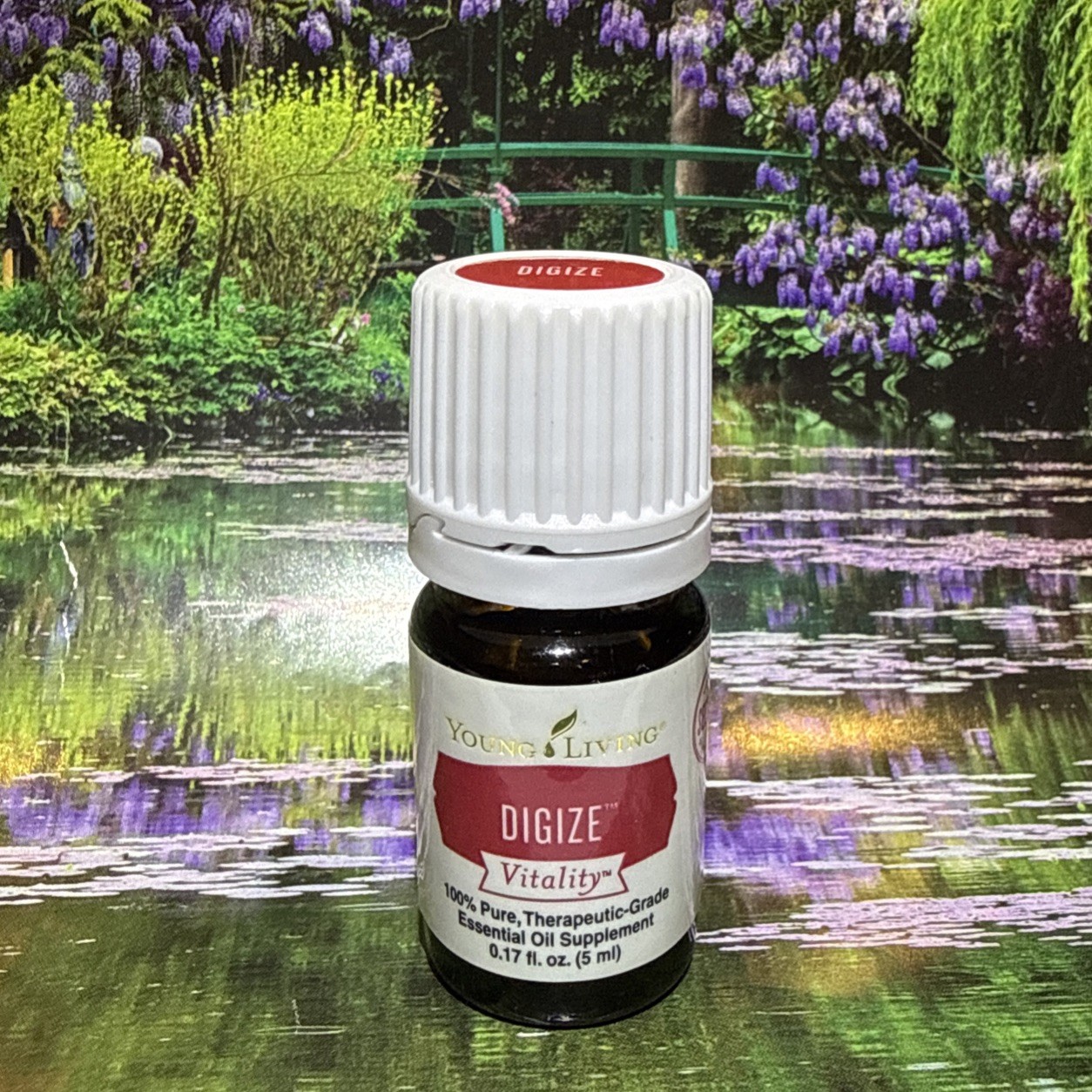 Young Living Digize Vitality Essential Oil 5ml w. anise ginger patchouli SEALED