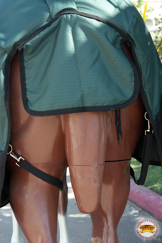 Hilason 1200D Turnout Light Winter Waterproof Horse Sheet Hunter Green