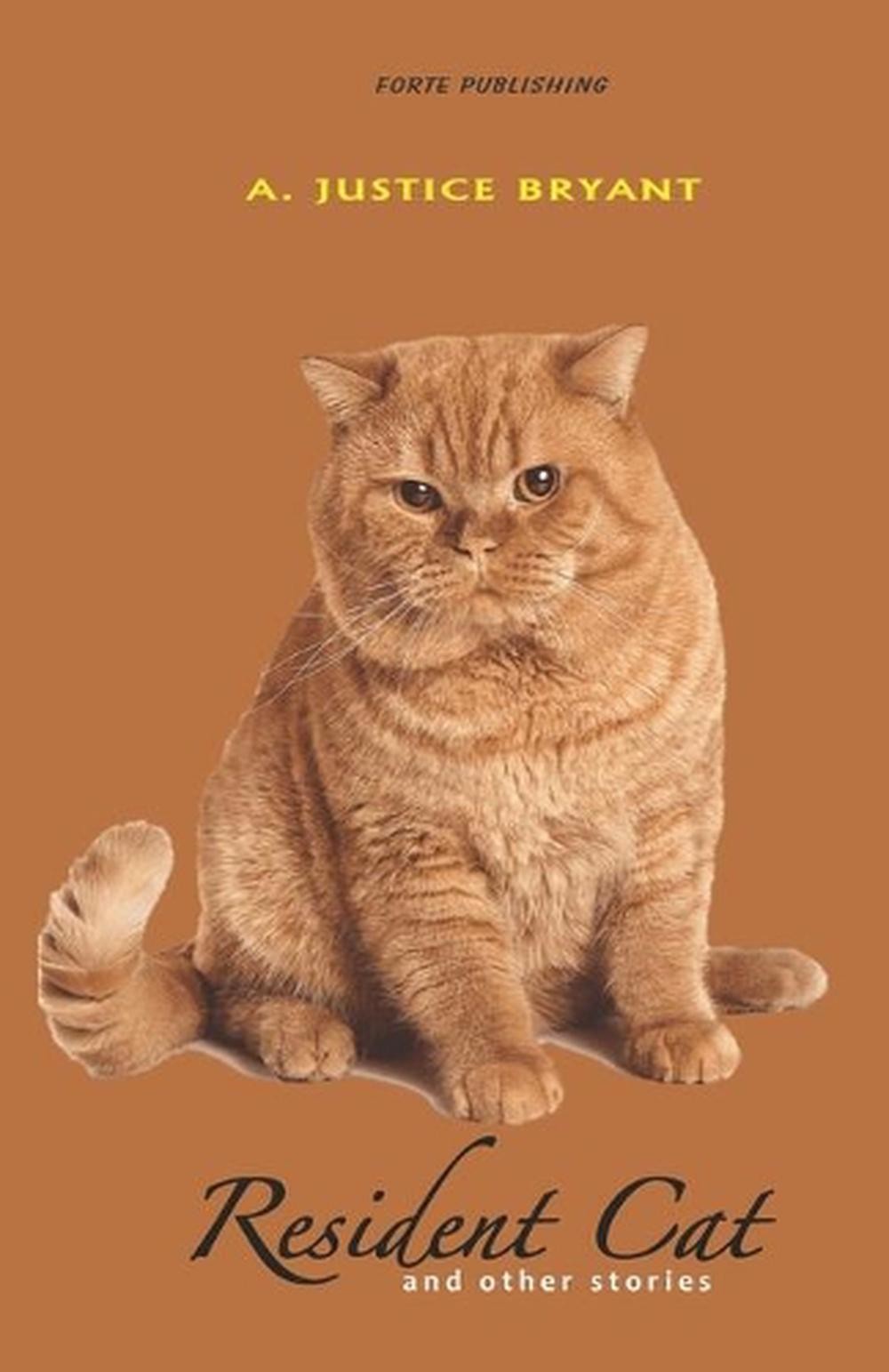 Resident Cat