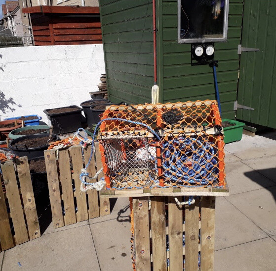 lobster crab pots