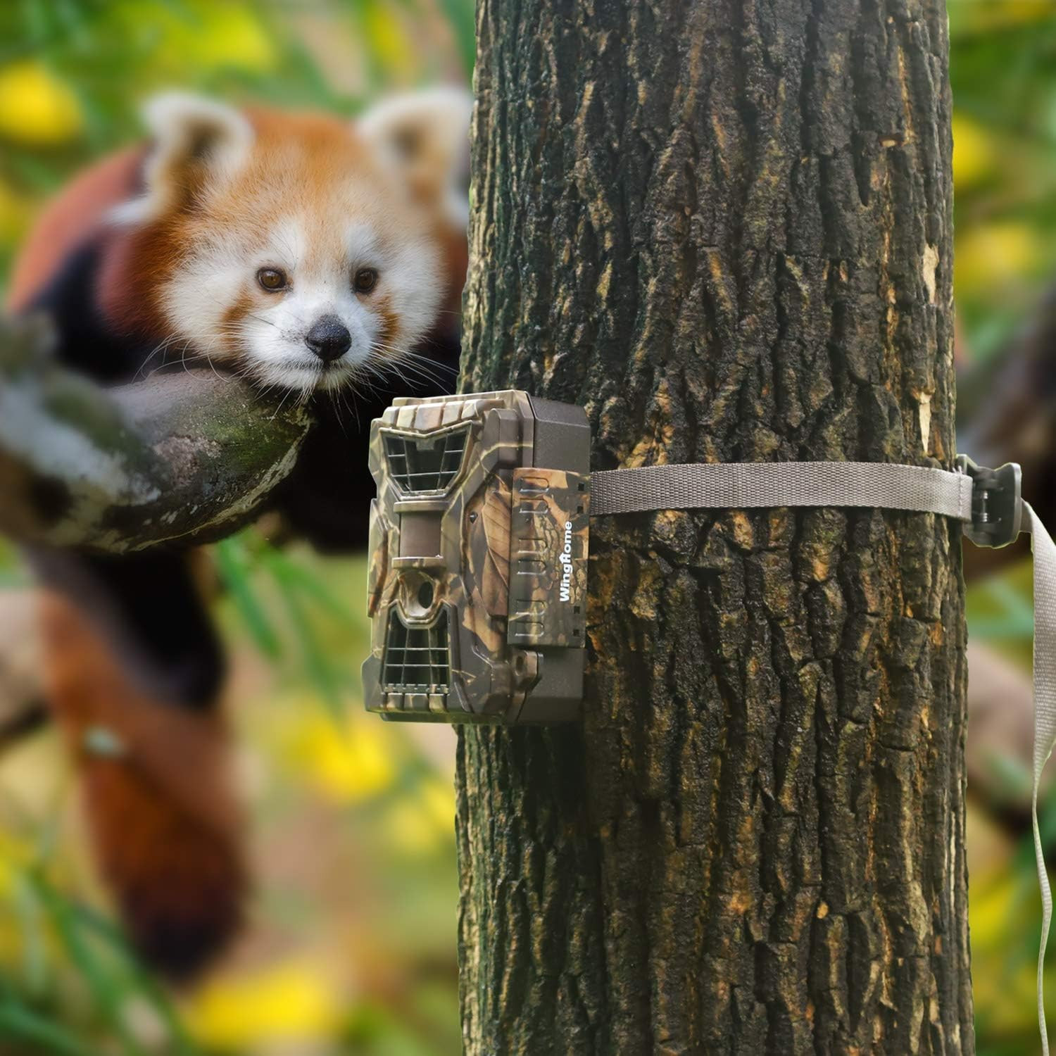 Wildlife Trail Camera Mounting Straps