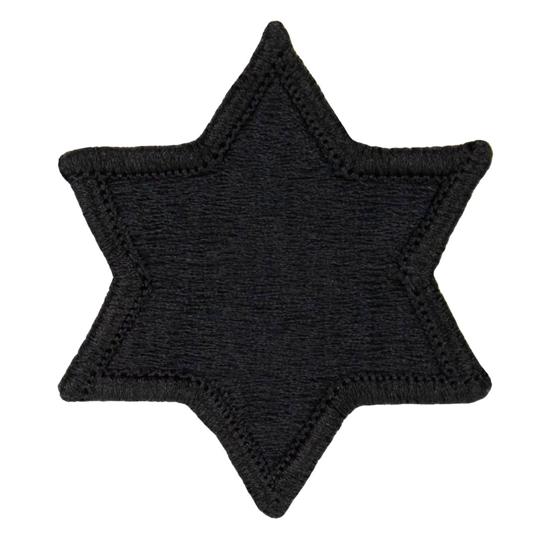 6th Infantry Division OCP Patch (Military Issued)-Veteran Owned Business
