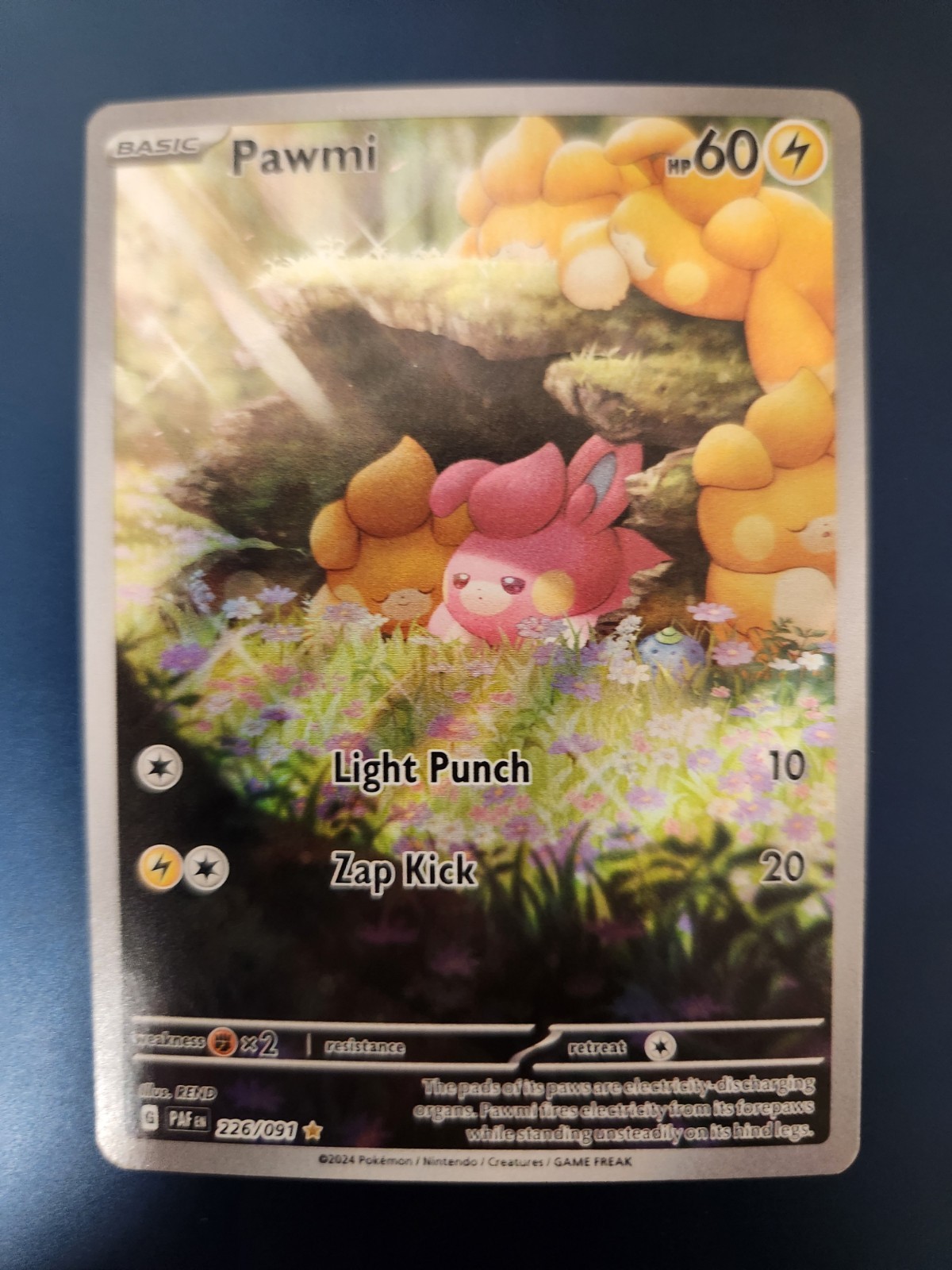 Pawmi 226/091 SV: Paldean Fates Holo English Near Mint Condition