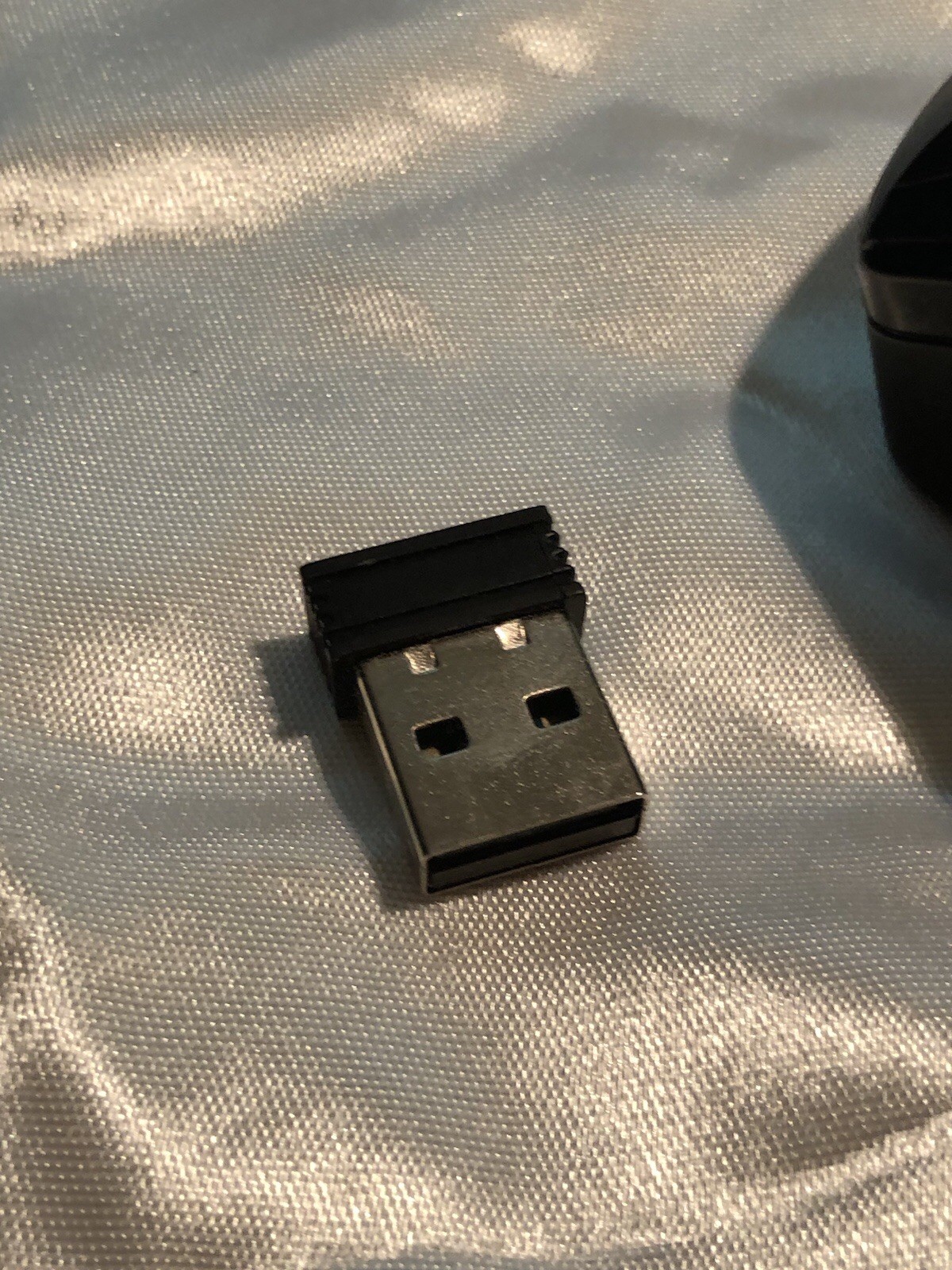 Mouse
