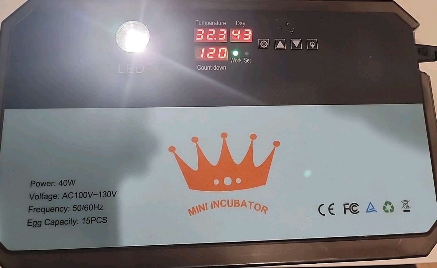 Mini Egg Incubator