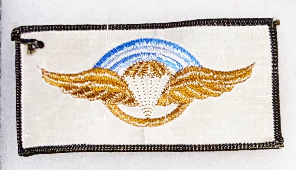 Argentina Para Airborne Wing Badge / Patch