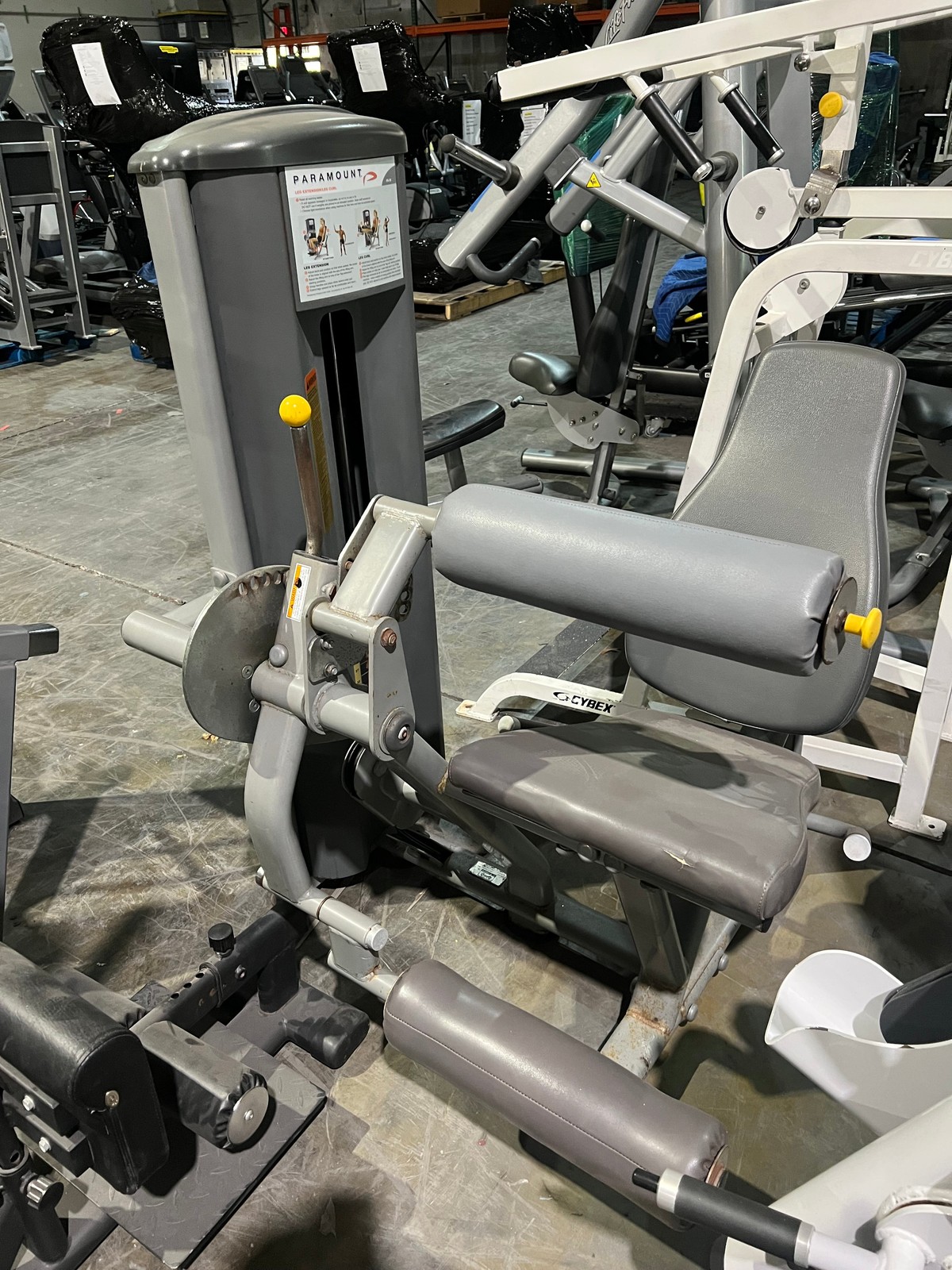 Paramount Leg Extension/ Leg Curl Combo - Used