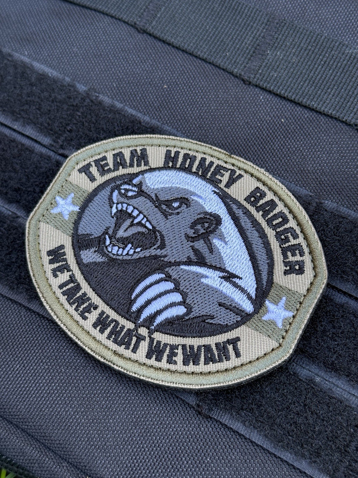 Honey Badger Team Take What We Want Tactical Military Hook Loop Patch Green