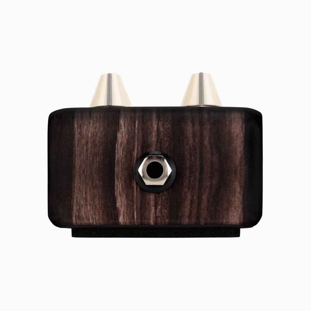 LR Baggs Align Series Delay Pedal
