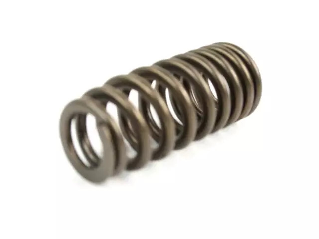 Genuine Mopar Valve Spring 4892675AA