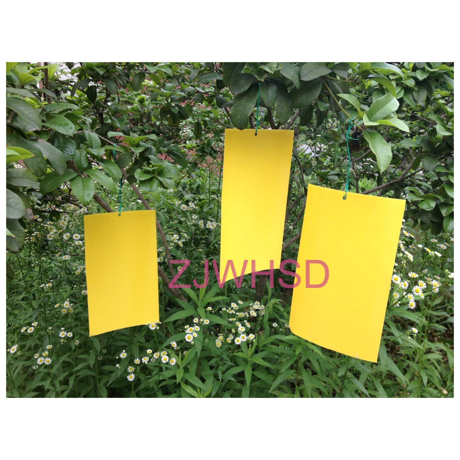 20pcs Yellow Sticky Insect Aphid Whitefly Thrip Gnat Fruitfly Leafminer Trap