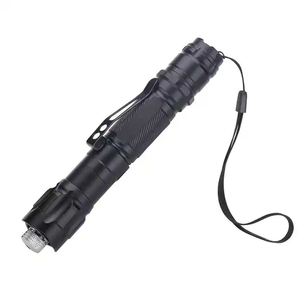 Presentation Laser Pointer Pen Pet Automatic Toys Adjustable Laser Focus Pen