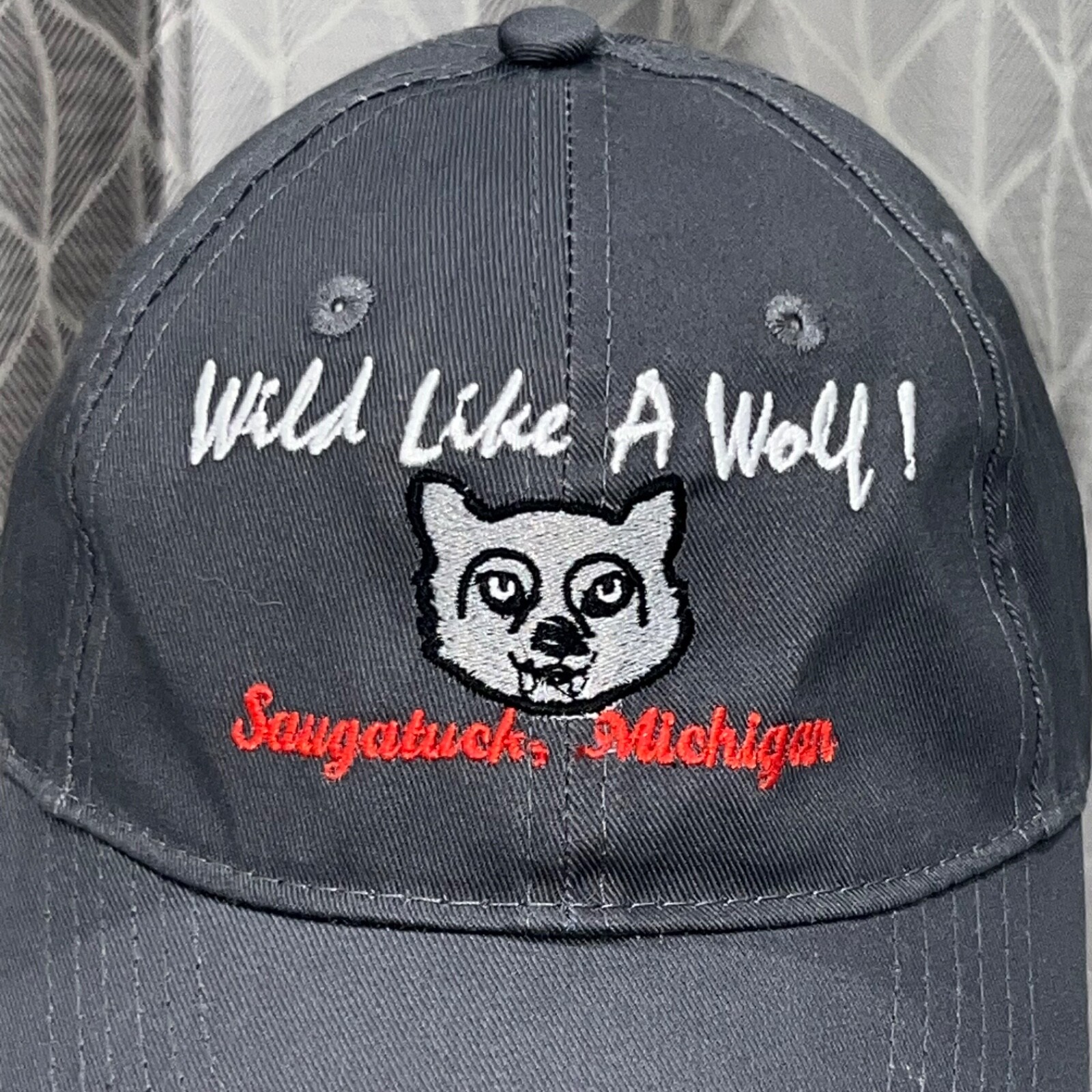 Sagatuck Michigan Wild like a Wolf Gray Youth Hat Cap Hook Loop EUC