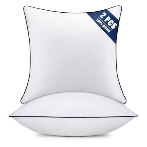 Throw Pillow Inserts Set of 2-Fluffy Square 18x18 Inch (Pack of 2)-Blue Edge