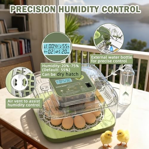 12 Egg Incubators with Temperature and 12 Eggs for Hatching Eggs