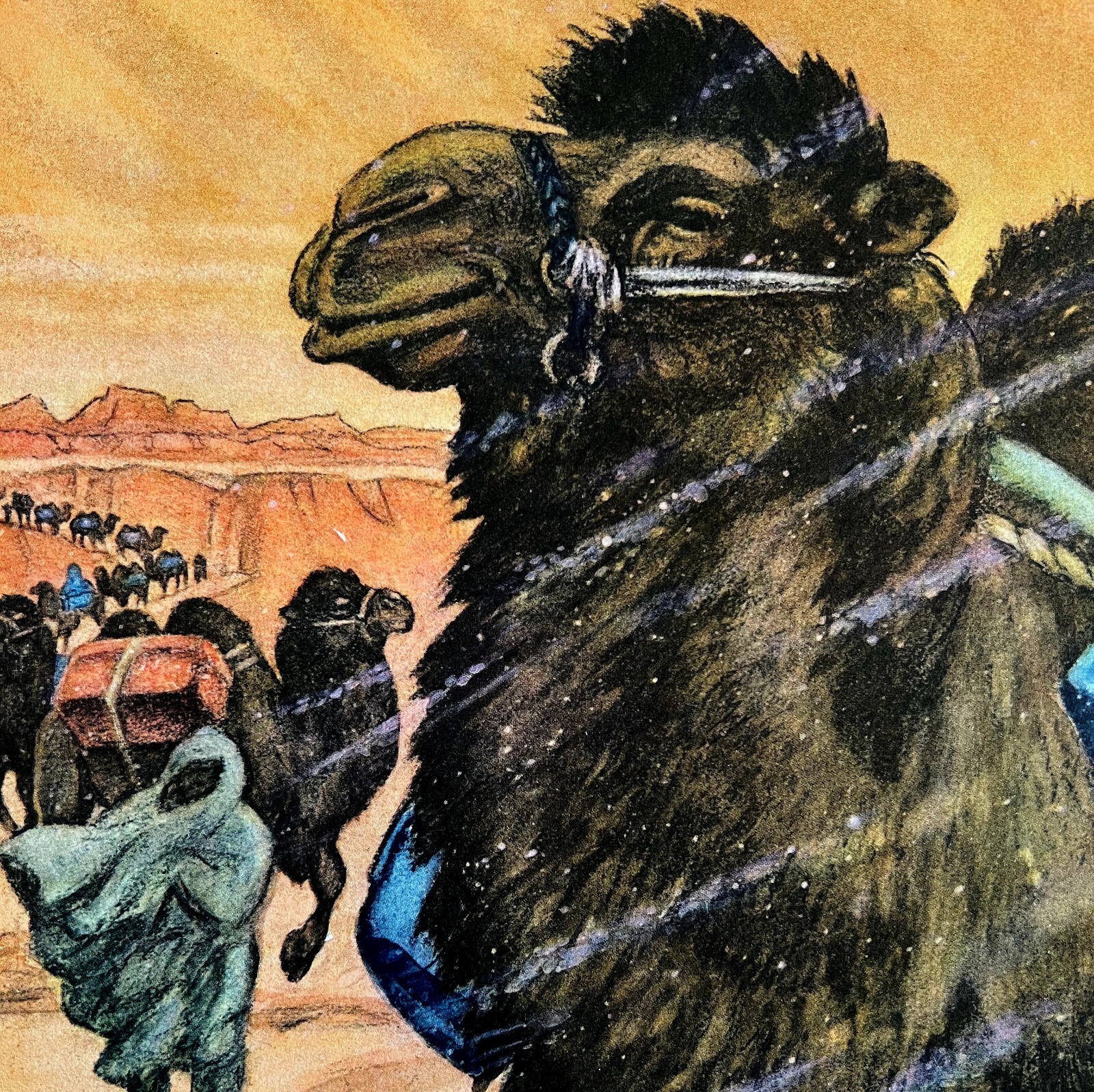 Camels In The Desert 1954 Art Print Paul Bransom Marlin Perkins Zooparade DWDD3
