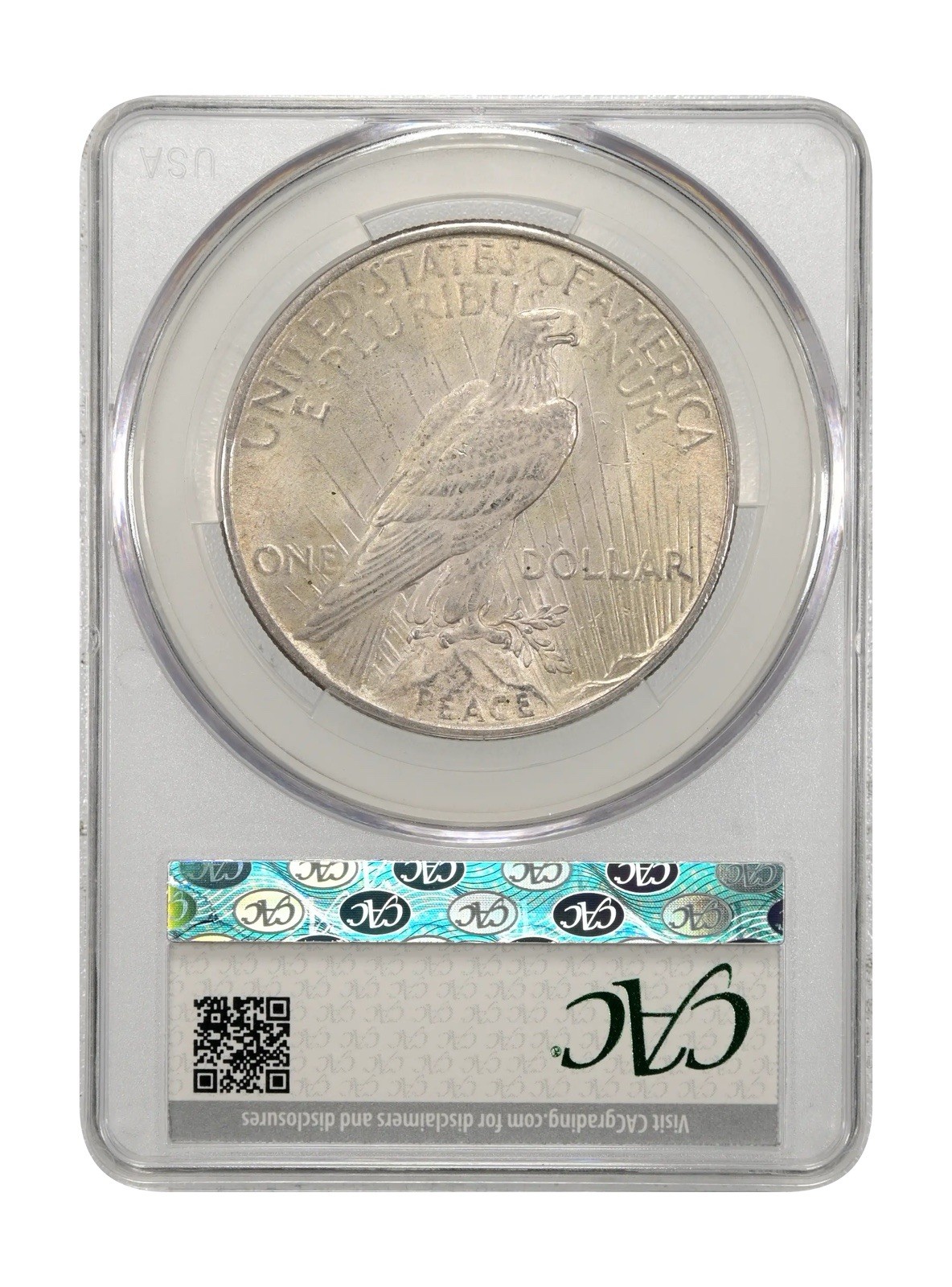 1925 $1 CAC MS 62 Green Bean Peace Silver Dollar Problem Free Holder