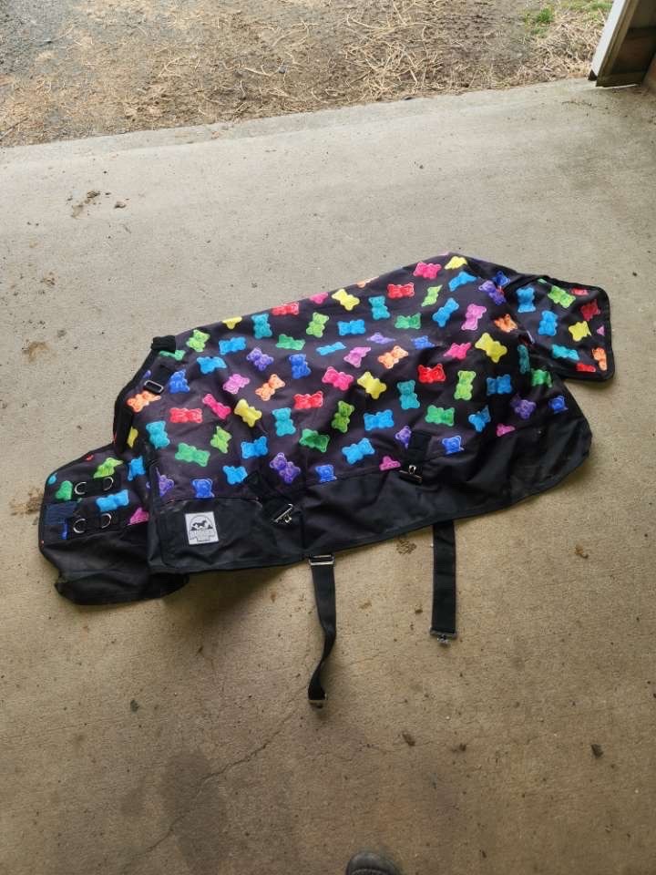 Gummy bear horse blanket