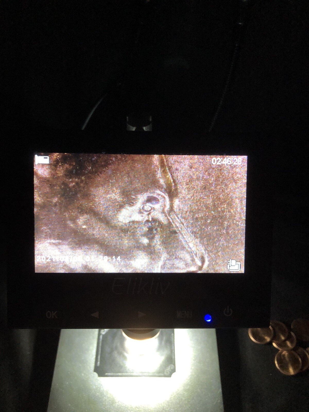 2023 Lincoln Penny Error #3