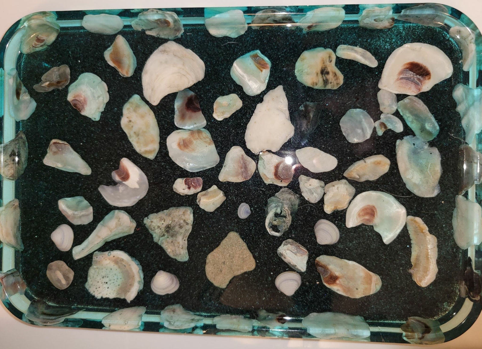 Underwater Tray