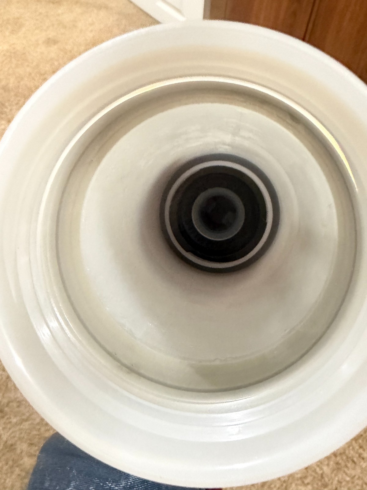 Grayl Water Bottle Geo Press