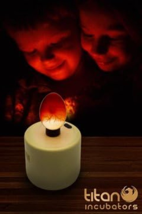 High Intensity LED Chicken Egg Candler/Tester – Battery Powered