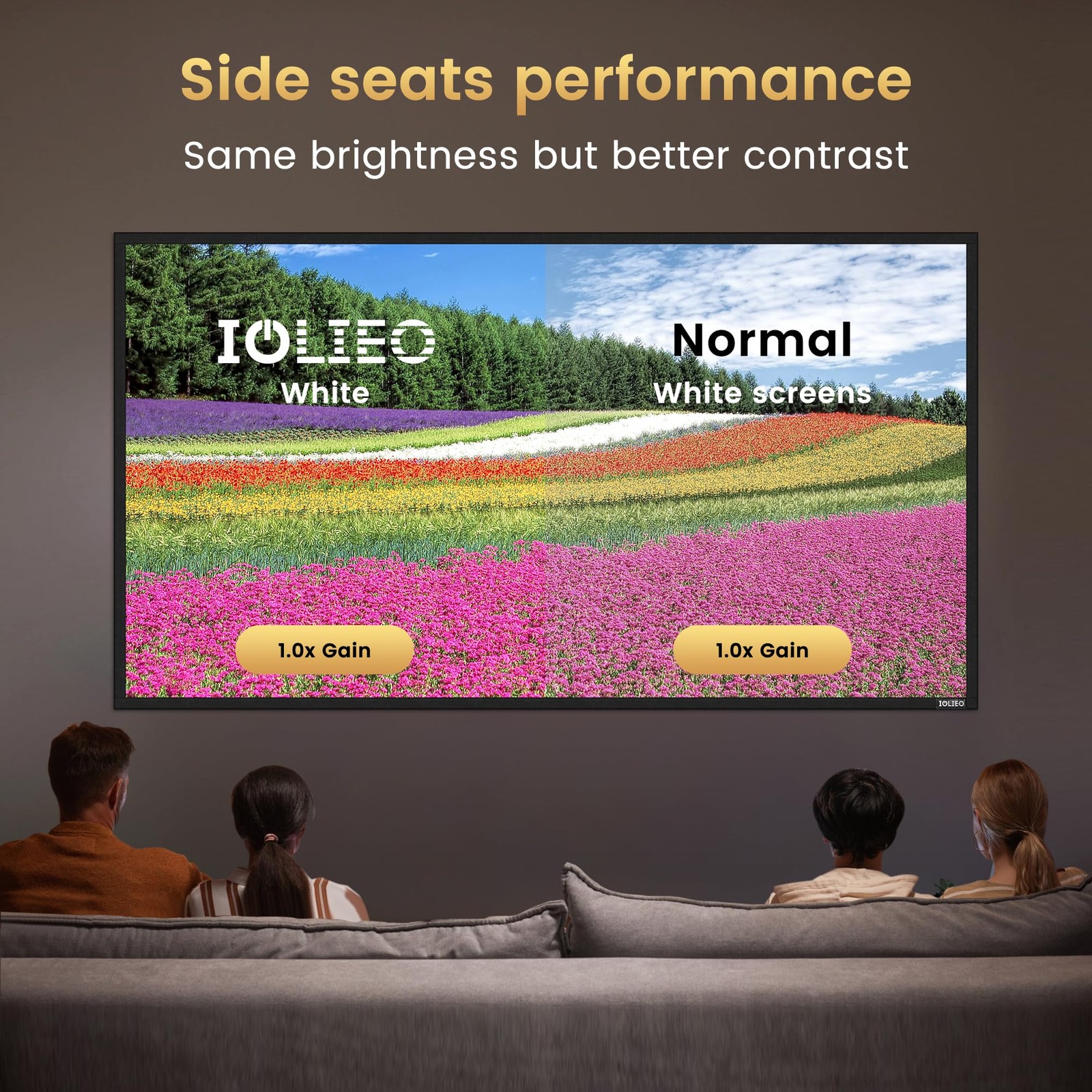 High gain 120 Inch Projector Screen - Wall Mounted - 2.6X Brightness and High...