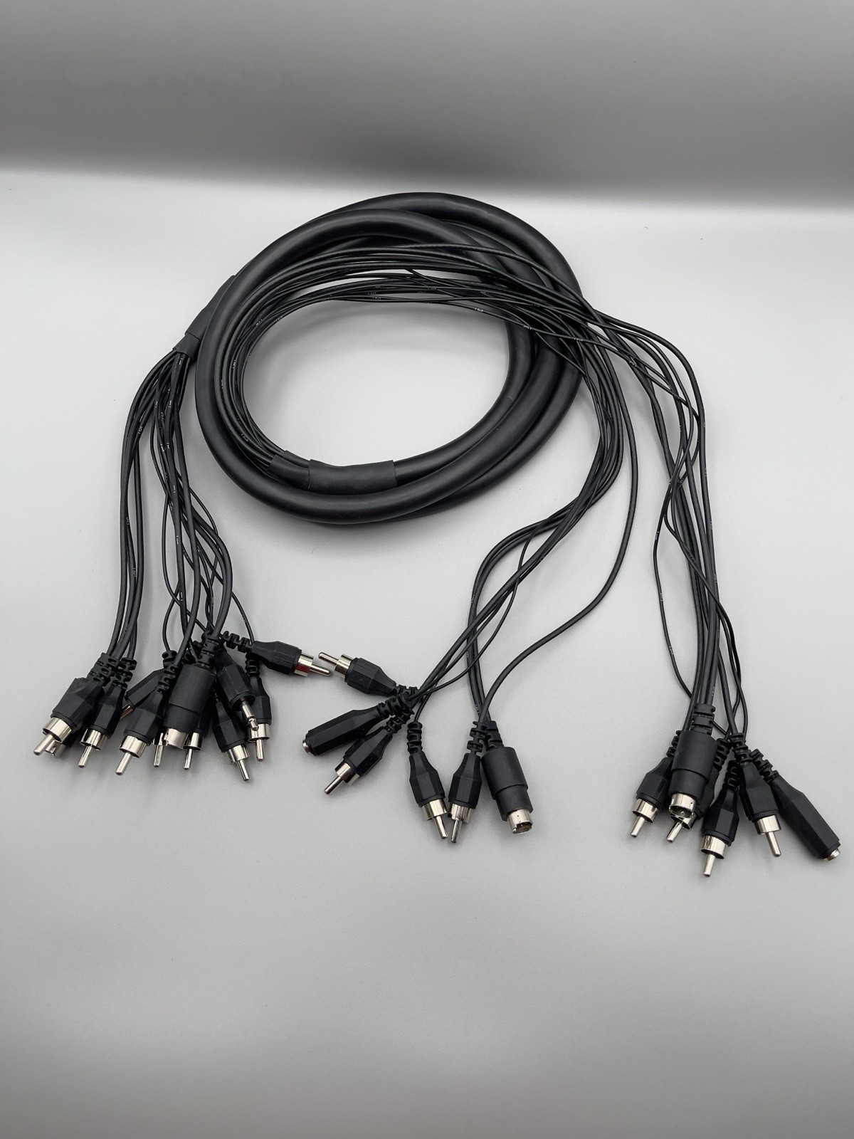 Multi-Purpose Audio-Video-Control extension Whip/Interconnect