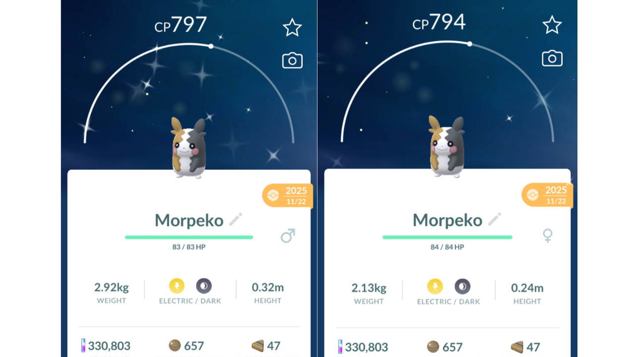 ⚡Shiny (Dazzling) Morpeko Pokemon GO⚡ Exchange or PTC
