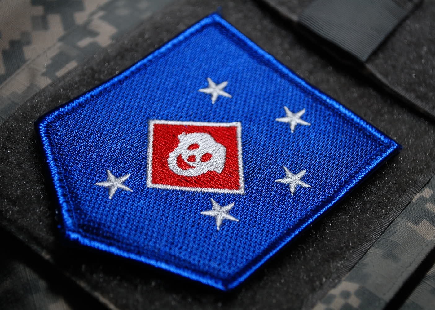 AFG-PAK JTF USMC GHOST RECON ELITE PROFESSIONALS burdock-hook INSIGNIA: RAIDERS