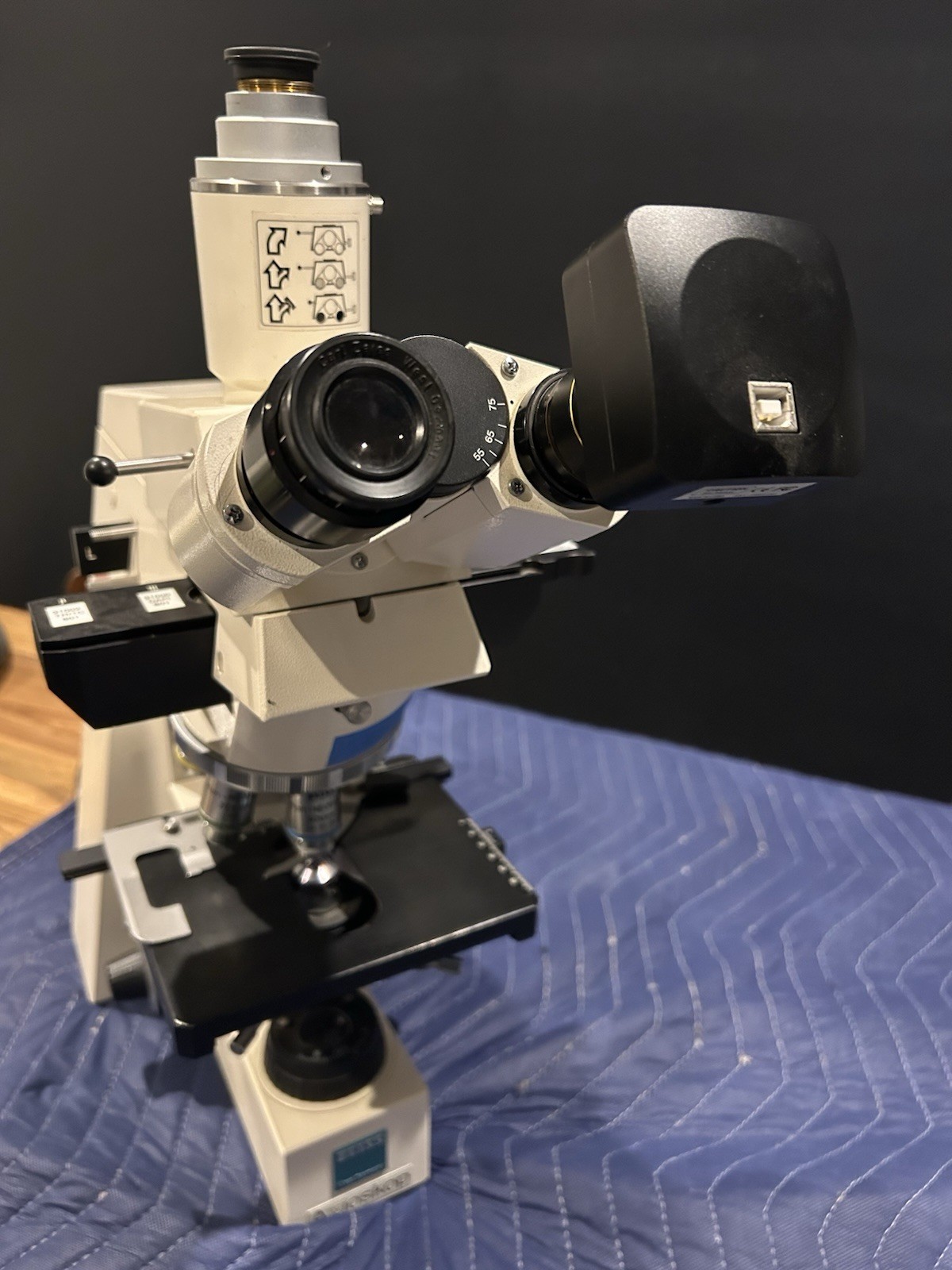 Zeiss Axioskop & AmScope MU1000 10MP USB 2.0 Microscope Digital Camera