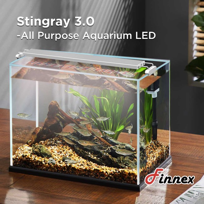 12" Stingray 3 Pencil Thin Aquarium LED - Finnex