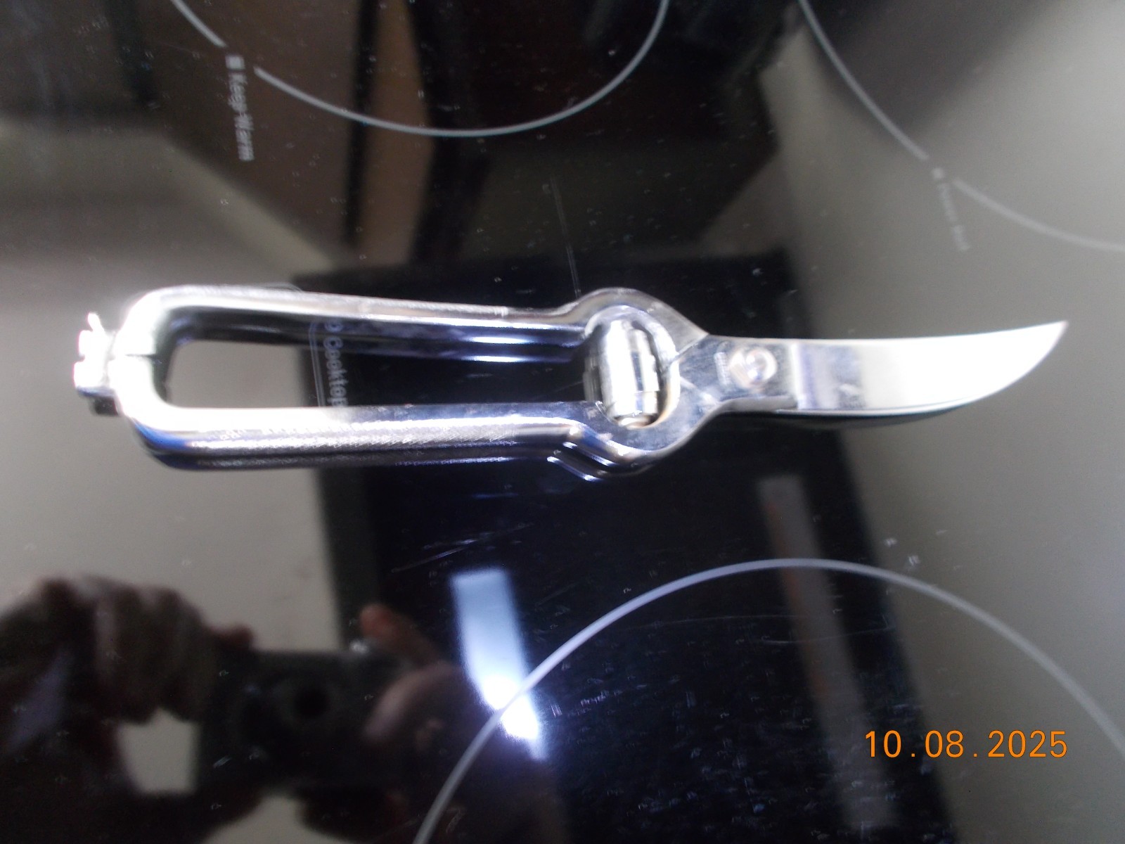 Chrom Poultry shears, Made in Italy