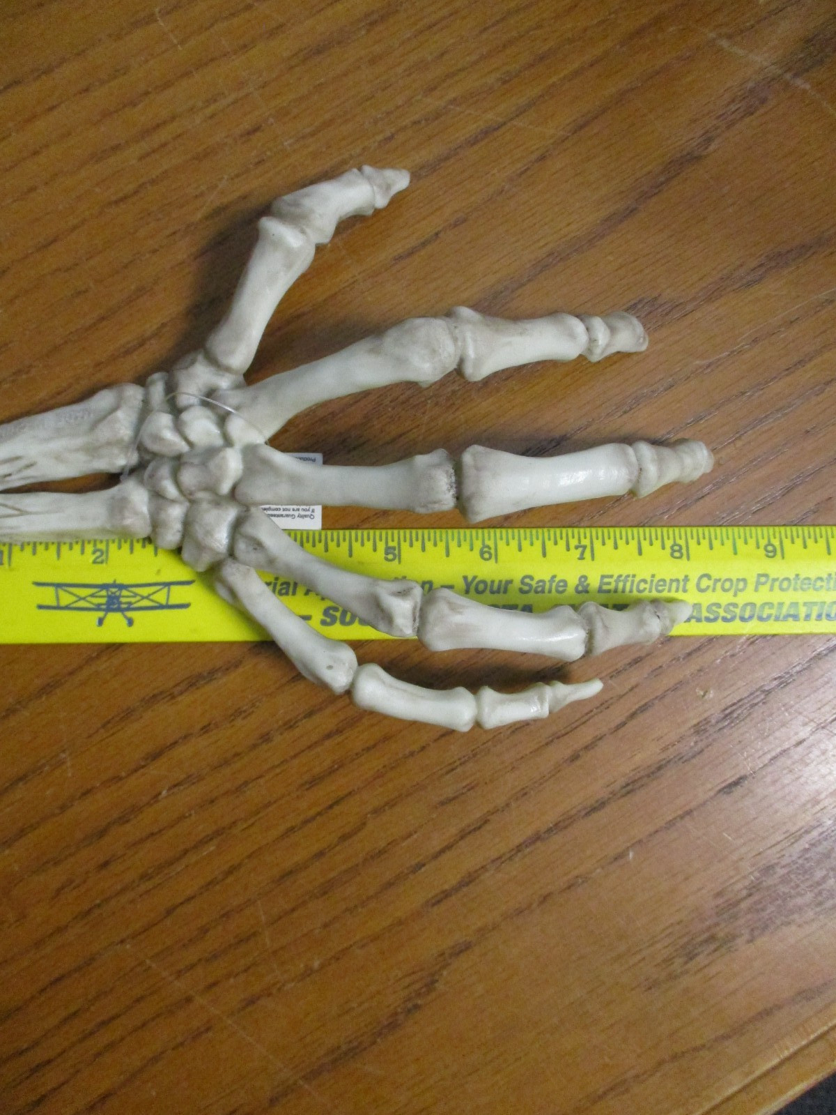 2 - Hand Skeleton Halloween Prop Decor - 8.25" long