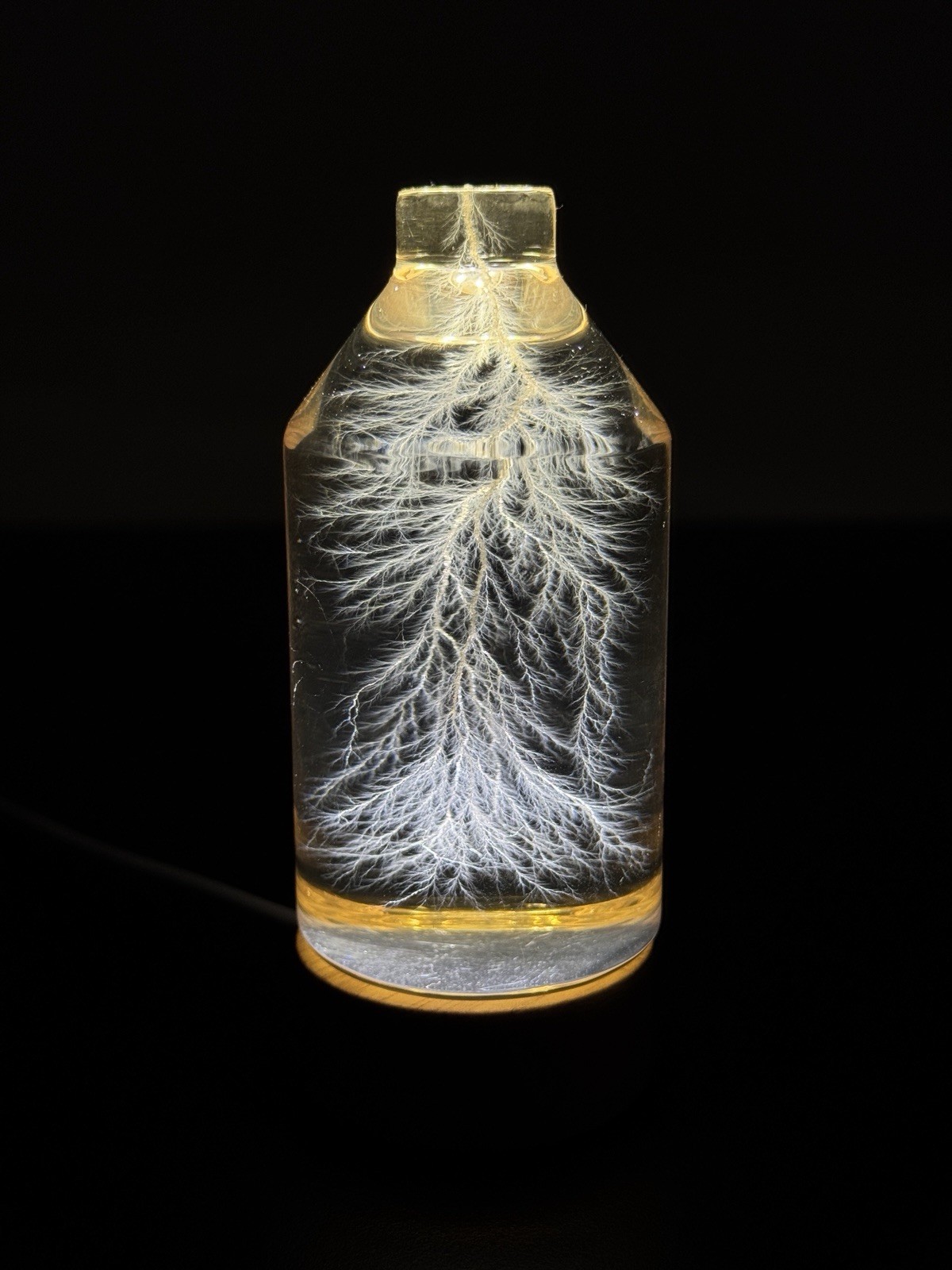 Lichtenberg Figure 2x3 Bottled Lightning (restocking, expected in 1 month)