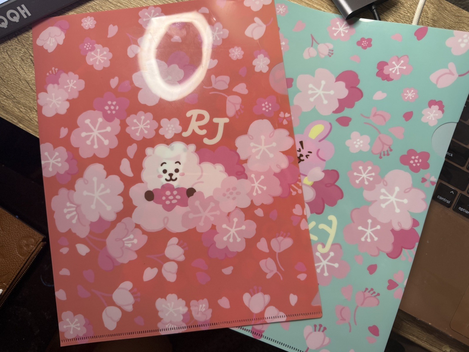 Folder Divider BT21 File Folder  Cherry Blossom Edition Cooky and RJ