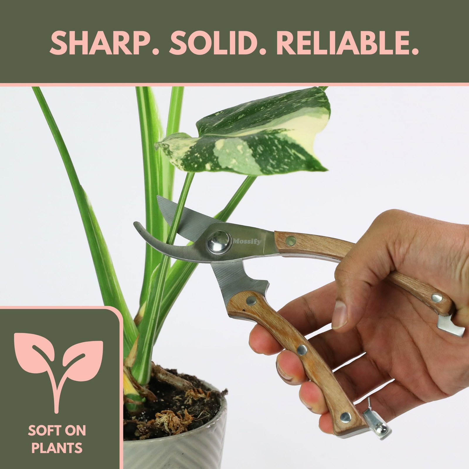 Mossify Garden Shears 8” – Premium Stainless Steel Pruning for Silver