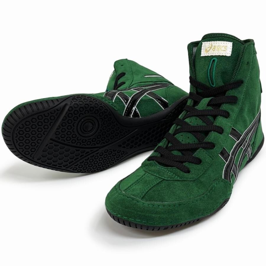 ASICS Wrestling Boxing Shoes EX-EO (Successor to TWR900) Green x Black x Silver