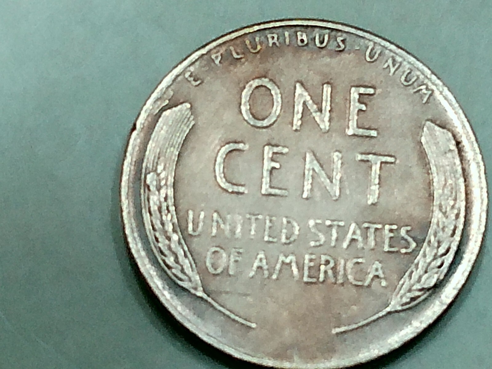 1955 us copper penny - die chip on top of right wheat- ms - rb-3.0 gr.-full ears