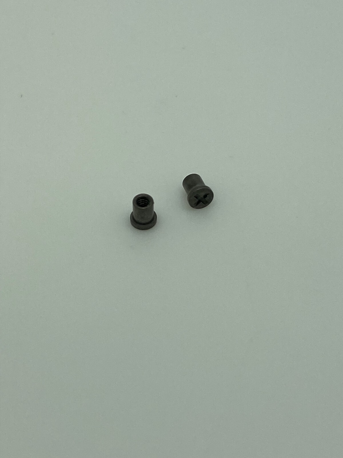 Authentic Rayban RB 8412 Replacement Screw pair for icon