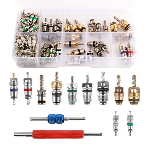 102PCS AC Valve Core Kit,Double Head AC Valve Core Removal Tool with 100PCS