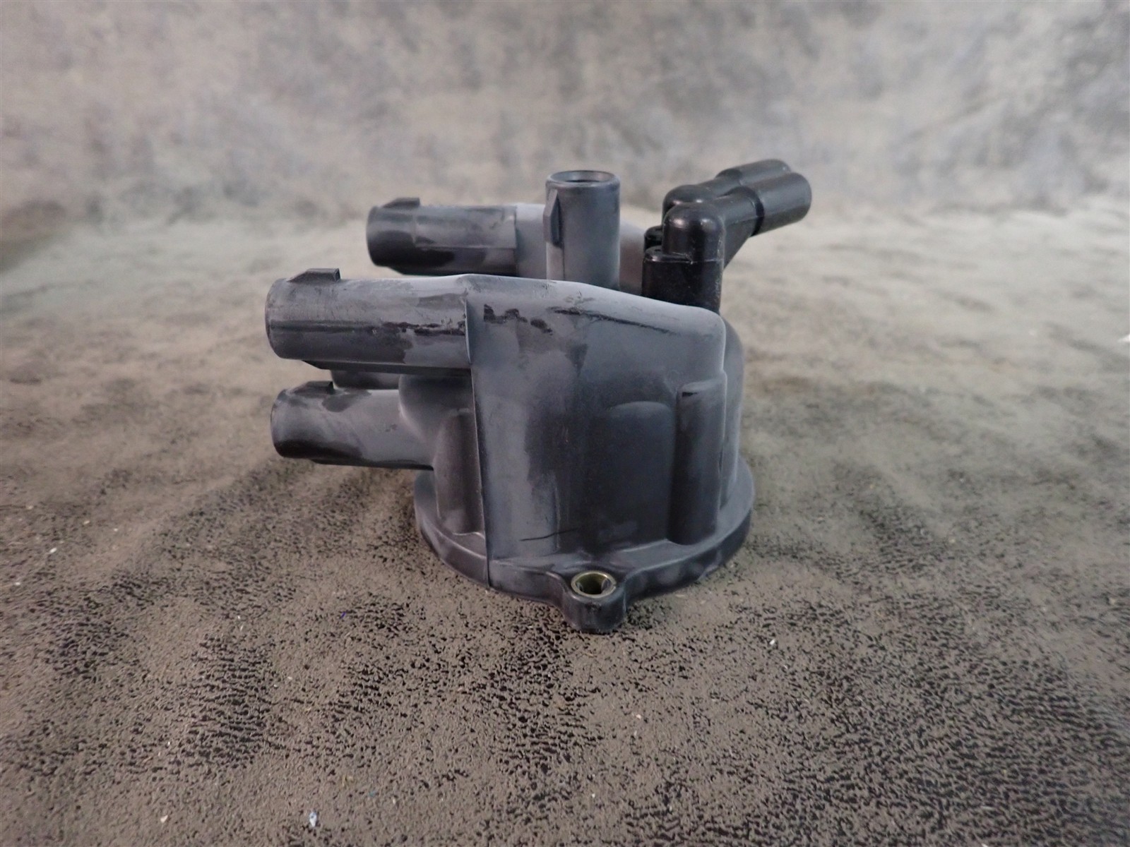 NEW WVE 5D1290 Distributor Cap (G209)